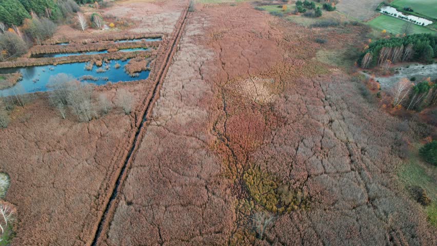 Interesting paths formed naturally in a swampy area. Polish scenery from above.