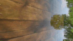 VERTICAL VIDEO, A wooden fishing pier under water in a pond, a spring green tree on the other shore