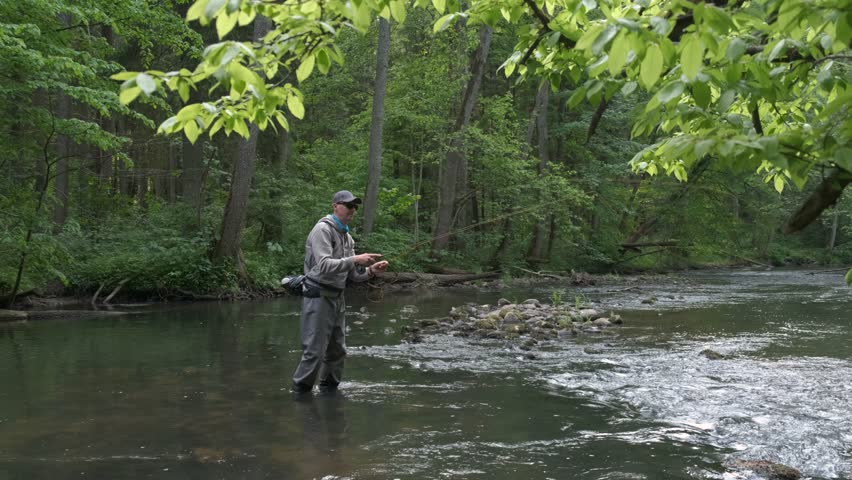 Fisherman catching brown trout on the fly standing in river. Slow motion. 