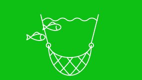 Animated fishing net white line icon. Catching fish with net animation. Boat accessory. Loop HD video with chroma key, alpha channel, transparent background. Outline motion graphic animation