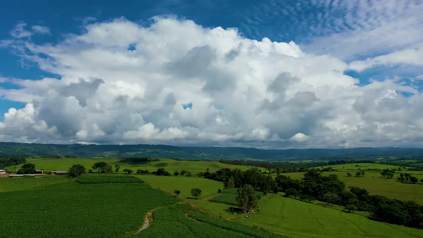 Rural Landscape At Green Background Countryside Forest Trees. Forest Landscape Rural Scene. Countryside Clouds Rural Field. Countryside Outdoor Rural Sky Moodle. Countryside Field Agriculture Farming.