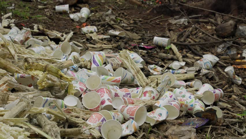 A closeup of sugarcane bagasse or residue and paper cups thrown on the roadside after extracting and drinking the juice during the summer Royalty-Free Stock Footage #1104440847