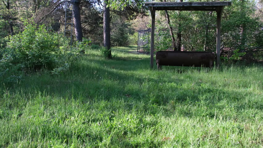 Steady camera - Walking toward large enclosure with cage free chickens inside it.