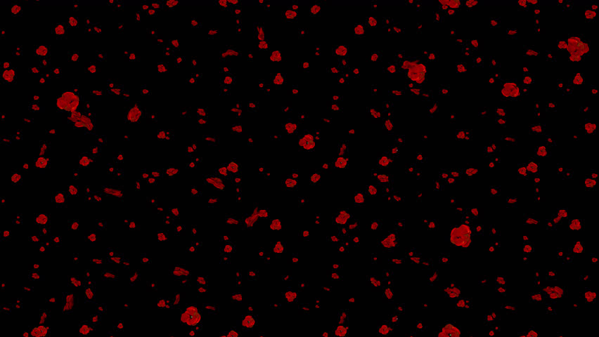 LOOP_TILE Poppies A with alpha. This footage with an alpha channel is loopable and tileable and can create an endless and seamless texture. Royalty-Free Stock Footage #1104460573