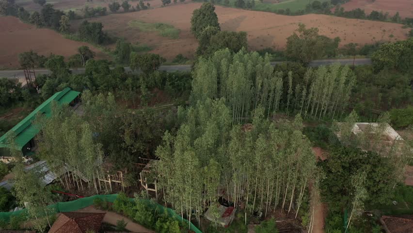 An Aerial Shot of Tendu Leaf Jungle Resort at Raj nagar, Madhya Pradesh, India
