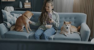 Girl watching TV and caressing adorable shiba inu dogs relaxing on couch in apartment. Leisure activity and entertainment with pets concept.
