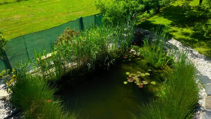 Garden pond. Relaxation zone with fish farming in an organic orchard from above. Sustainable development in gardening and aquaculture. Royalty-Free Stock Footage #1104500865