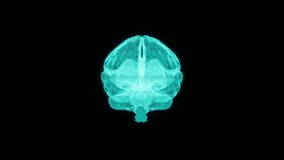 animation of 3d holographic brain rotating on black background. Modern scifi futuristic video in hologram style