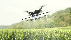 Drone spraying fertilizer on corn fields, Smart farming innovation, Agriculture technology, Farm Automation - Powered by Shutterstock - Get 15% off with code: PIKWIZARD15