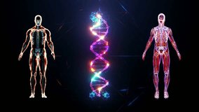 DNA and 2 Bodyscan 4K Loop Video This is Great for video presentations