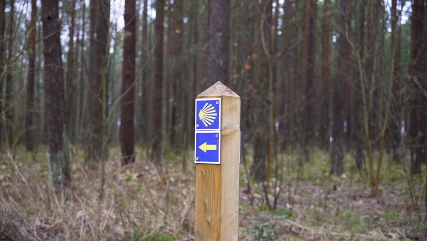 The shell sign showing the direction to the Camino de Santiago route in the forest