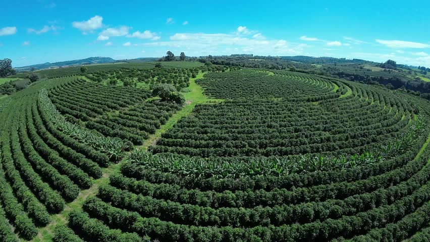 Cultivation Field At Country Scenery Rural Landscape Countryside. Forest Landscape Scenics Nature. Rural Road Outdoor Country Stunning. Rural Road Forest Country Spring Nature.