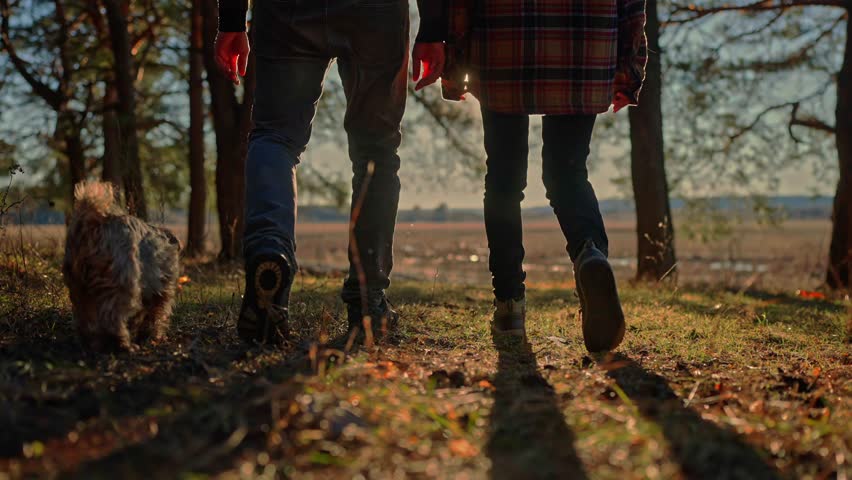 Forest park dog walk with two hiker foot. journey concept. two hiker and pet dog walking in sneakers through the park. pet dog walk journey concept. lifestyle hiker sneakers walking close-up park Royalty-Free Stock Footage #1104533053