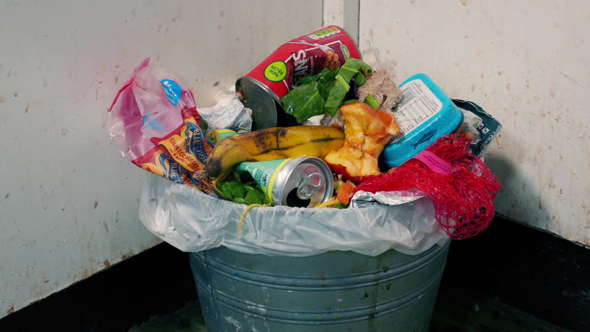 Flies Buzzing Around Full Trash Can | Shutterstock HD Video #1104544577