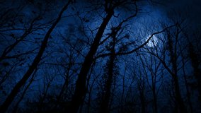 POV Scary Woods With Moon And Lightning Strikes (actual video is sharp, no pixelation)
 - Powered by Shutterstock - Get 15% off with code: PIKWIZARD15