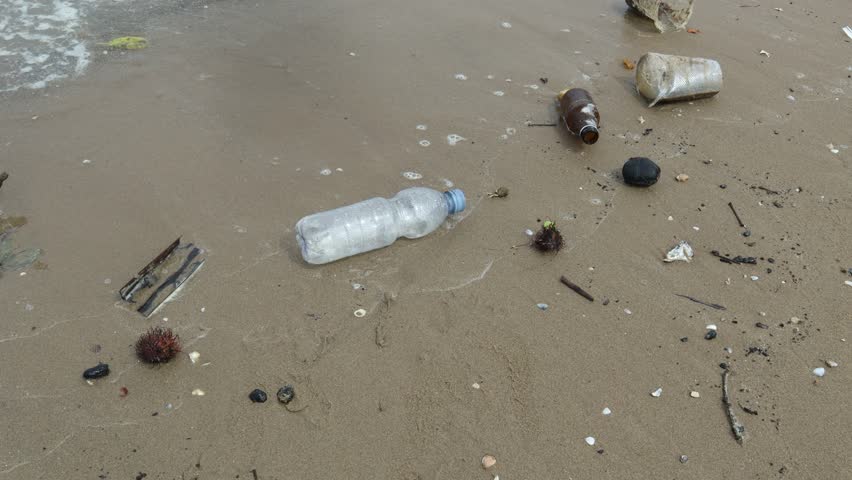 Video of used plastic cup waste washed up by the waves on the beach | Shutterstock HD Video #1104546567