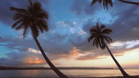 Amazing tropical sunset on palm beach. Video of nature dawn landscape. Pink sky over the sea. Evening beach background. Orange clouds over the ocean. The best sunset in the world