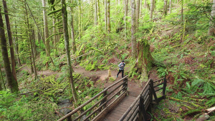 Man with Backpack Jogging Over Forest Bridge. Exercise in Nature Aerial Background with Athlete Crossing Footbridge in the Woods