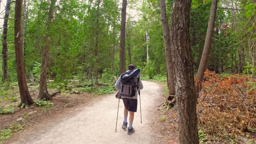 Hiker with backpack and photo gear walking at hiking trail in fir tree green summer forest at sunny day. Bruce Peninsula National Park, Ontario, Canada.