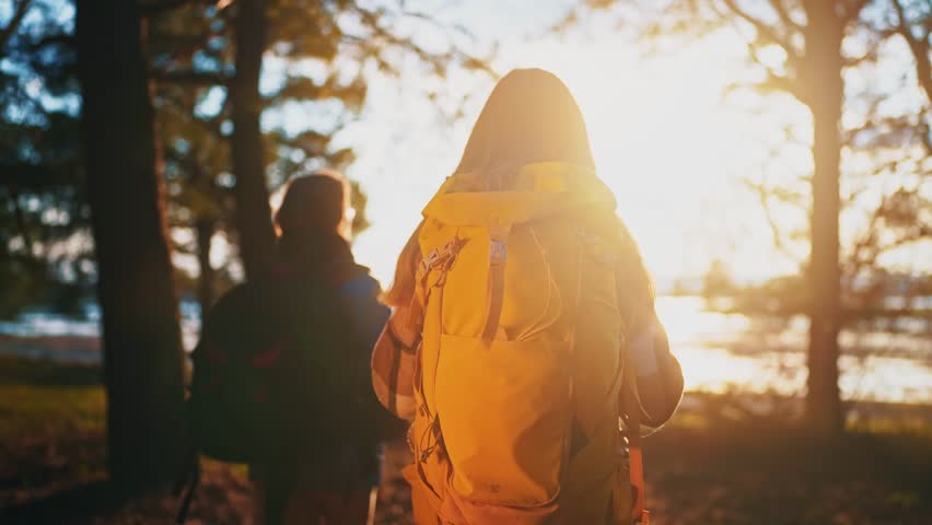 hike group walk forest park. teamwork journey travel concept. group of tourists in forest rear view with backpacks at sunset in the park. hiker walk adventure business lifestyle concept