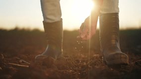 agriculture. farmer hands planting seed. business plant agriculture concept. farmer hands is planting seed in the suburbs beginning of garden seasonal agricultural work. business agriculture - Powered by Shutterstock - Get 15% off with code: PIKWIZARD15