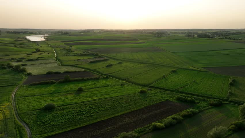 farmland at sunset in spring time