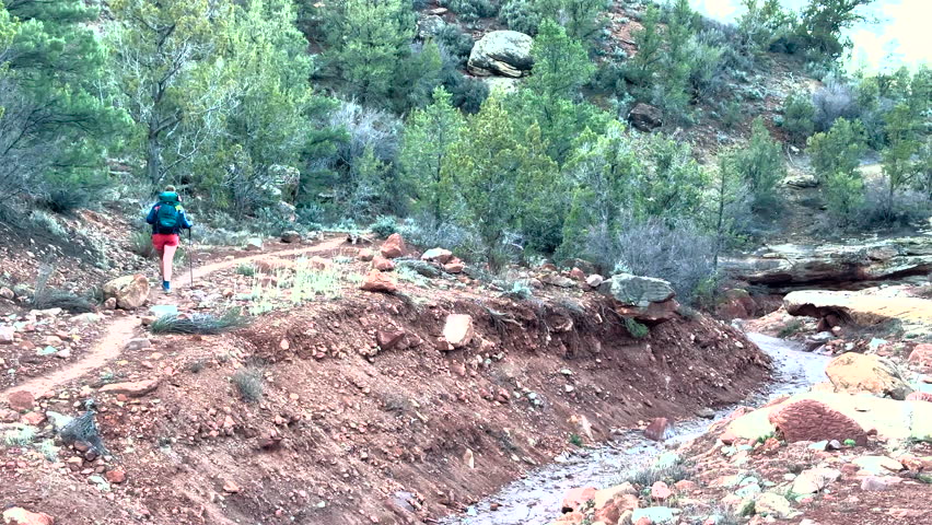 Hiker Along Trail Above Dry Wash in Zion National Park