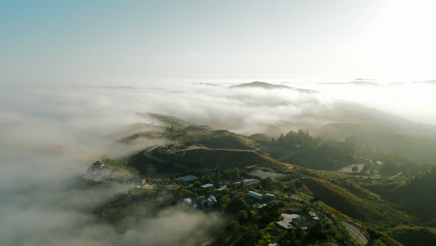 Drone footage unveils the beauty of green hills adorned with some trees, where ethereal foggy skies dominate the landscape, uniq conditions in Malibu. Los Angeles, California.