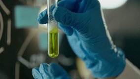 Technology, Woman chemist Cautiously holds a test tube with analyzes In the office. Experienced Professional Studying a Sample of a Chemical Liquid Using Modern Study Technologies, Blackboard - Powered by Shutterstock - Get 15% off with code: PIKWIZARD15