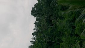 Vertical video. Aerial view Asian countryside village through smoke cloud rainforest palm trees nature landscape. FPV sport drone top shot exotic panorama scenery rural agriculture house hut roofs 4k