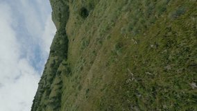 Vertical video. Mountain slope wild alpine with green grass and dry trees cinematic hilly terrain aerial view. FPV sport drone low shot cliff rock natural geology formation valley blue sky clouds 4k