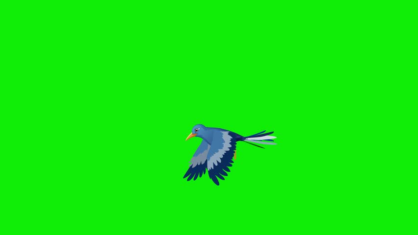 2d bird flying frame by frame animation 4k screen green