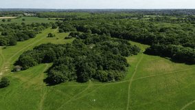 4K Drone Footage taken over woods 