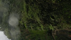 Vertical video. Dive rainy tropical island waterfall speed water fall stream stones rainforest mountain valley aerial view. FPV sport drone shot exotic jungle cascade fern greenery woodland cliff 4k