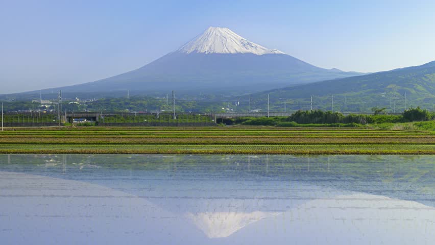 Jpanese bullet train Shinkansen passes in front of Mt.Fuji
 Royalty-Free Stock Footage #1104610371