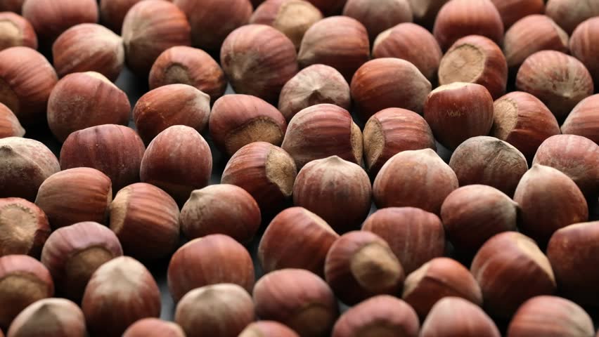 Whole hazelnuts close-up falling in slow motion Royalty-Free Stock Footage #1104610443