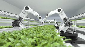 Smart robotic farmers concept, robot farmers, Agriculture technology, Farm automation, Automatic Agricultural Technology, Hydroponic Plant System