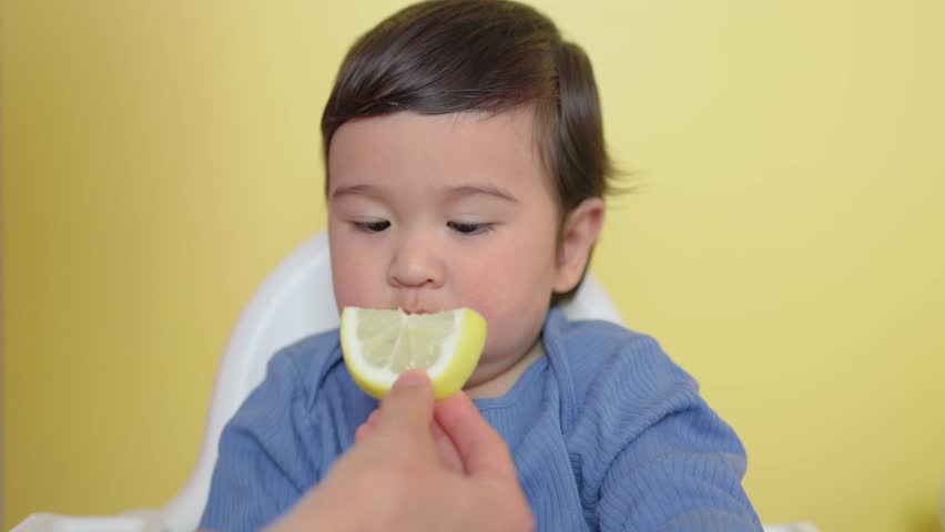 A child tastes a piece of lemon, wrinkles and makes a grimace 
