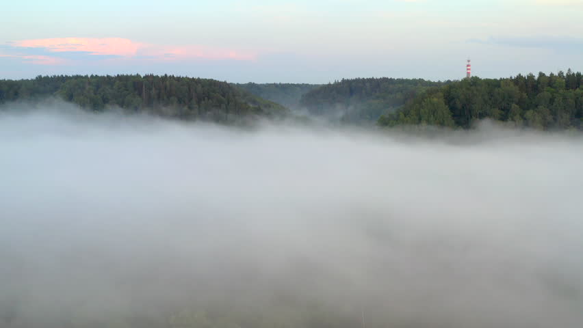 Drone flight in untouched nature - above fog - in forest, Mixed tree forest 4k