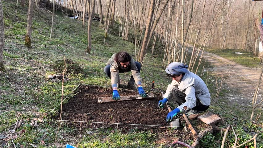 Local people are plow the ground with traditional skill to flat the surface in gardening purpose
planting vegetable tree and flower in spring season in the backyard in rural area village in Iran Gilan Royalty-Free Stock Footage #1104649629
