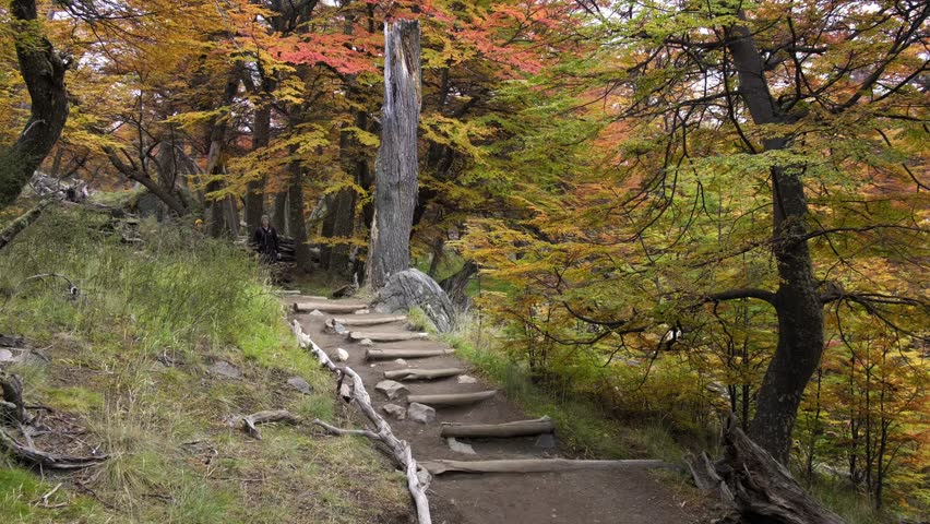 Couple Backpacking and Hiking Through Beautiful Orange Autum Colors, Laguna de Los Tres, Fitz Roy Hike, Argentina. Shot Two.