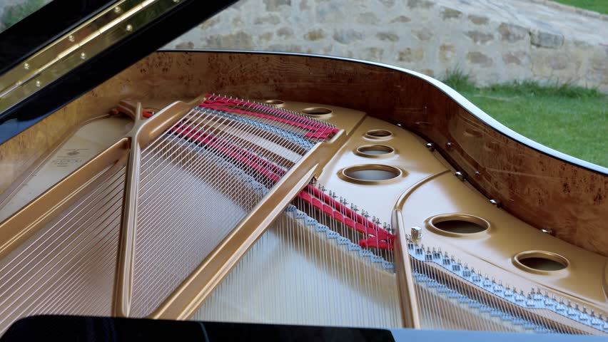 Inside view of the strings from a grand piano Royalty-Free Stock Footage #1104653841