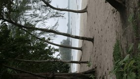 Vertical Landscape view of tropical trees forest near beach sea in summer day. Beach space area with peaceful sea in sunshine daytime landscape natural background