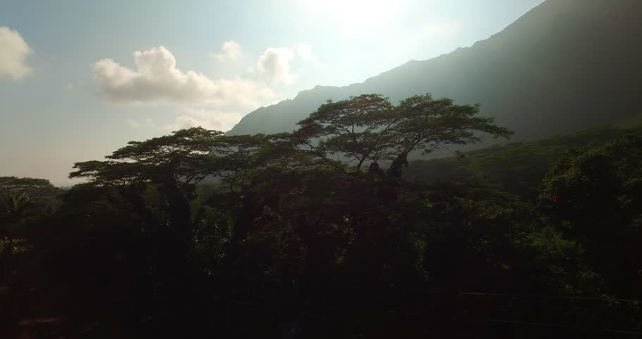 Aerial Panning Shot Of Trees In Forest Near Mountain Against Sky, Drone Flying Over Jungle - Oahu, Hawaii