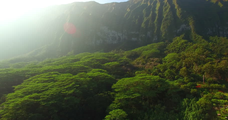 Aerial Shot Of Green Trees In Forest Against Mountain Range, Drone Flying Forward Over Jungle - Oahu, Hawaii
