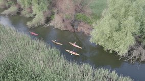 Kayakers exploring wild canal with vegetation by kayak in Danube Delta Romania Aerial drone shot 4k video remote places vacation
