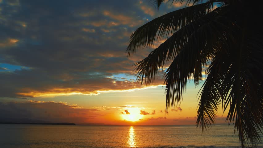 Tropical summer sunset on a paradise island in the Atlantic Ocean. Great summer sunset. Palm tree and sea silhouette. Beach with palm trees goes into the sea against the backdrop of the setting sun. Royalty-Free Stock Footage #1104683547