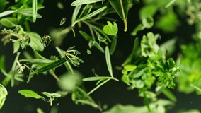 Super slow motion of rotating fresh herbs on black background. Ultimate perspective and motion. Filmed on high speed cinema camera, 1000 fps. Camera placed on high speed cine bot, following the target - Powered by Shutterstock - Get 15% off with code: PIKWIZARD15