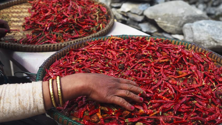 red chili pepper crops close up. Chilies at a market in India. Farmers Markets in India. Authentic real scene at local vegetable market in Asia.  Royalty-Free Stock Footage #1104686287