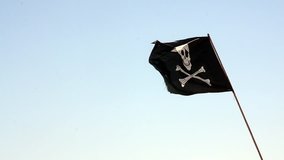 pirate flag waving with blue sea background in slow speed